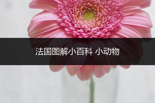 法国图解小百科 小动物
