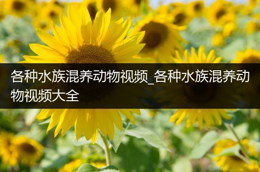 各种水族混养动物视频_各种水族混养动物视频大全