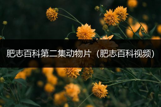 肥志百科第二集动物片（肥志百科视频）