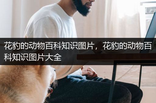 花豹的动物百科知识图片，花豹的动物百科知识图片大全