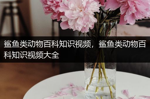 鲨鱼类动物百科知识视频，鲨鱼类动物百科知识视频大全