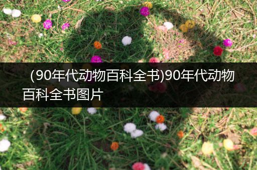 （90年代动物百科全书)90年代动物百科全书图片