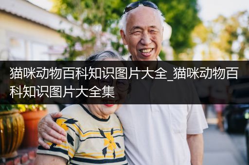 猫咪动物百科知识图片大全_猫咪动物百科知识图片大全集