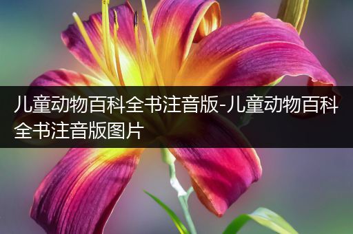 儿童动物百科全书注音版-儿童动物百科全书注音版图片
