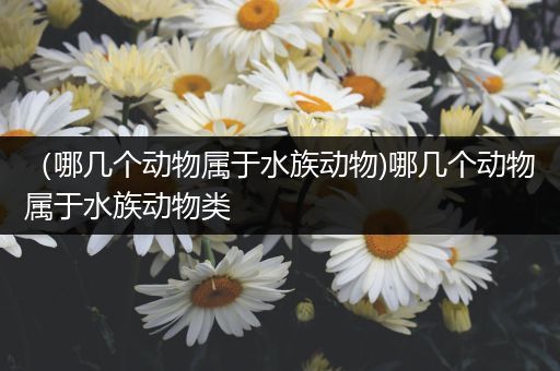 （哪几个动物属于水族动物)哪几个动物属于水族动物类