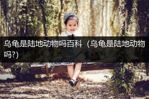 乌龟是陆地动物吗百科（乌龟是陆地动物吗?）