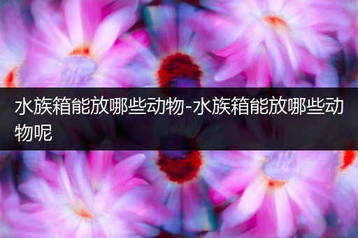 水族箱能放哪些动物-水族箱能放哪些动物呢