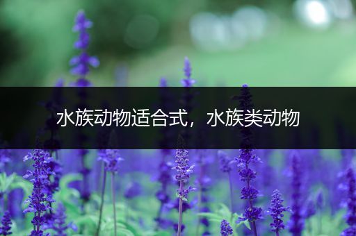 水族动物适合式，水族类动物