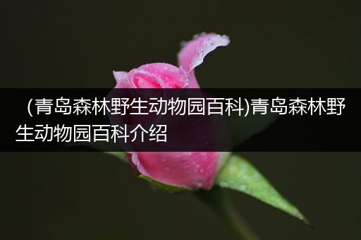 （青岛森林野生动物园百科)青岛森林野生动物园百科介绍