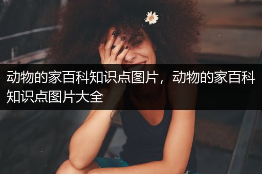 动物的家百科知识点图片，动物的家百科知识点图片大全