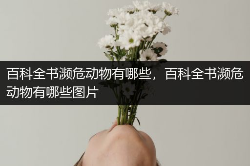 百科全书濒危动物有哪些，百科全书濒危动物有哪些图片