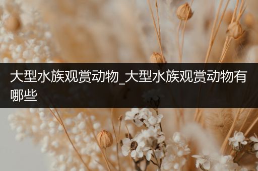大型水族观赏动物_大型水族观赏动物有哪些