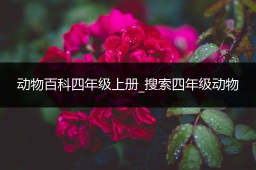 动物百科四年级上册_搜索四年级动物