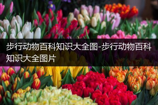 步行动物百科知识大全图-步行动物百科知识大全图片