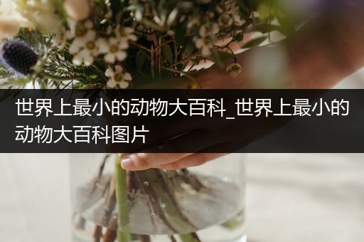 世界上最小的动物大百科_世界上最小的动物大百科图片