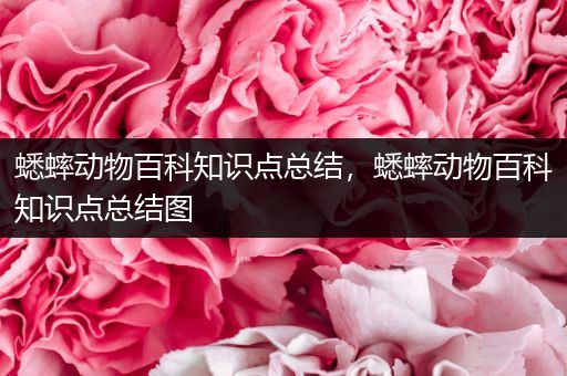 蟋蟀动物百科知识点总结，蟋蟀动物百科知识点总结图