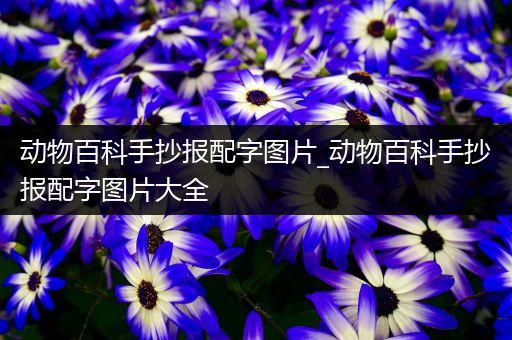 动物百科手抄报配字图片_动物百科手抄报配字图片大全