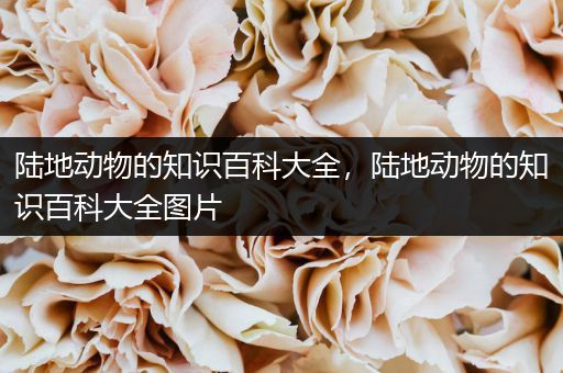陆地动物的知识百科大全，陆地动物的知识百科大全图片