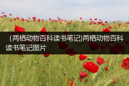 （两栖动物百科读书笔记)两栖动物百科读书笔记图片