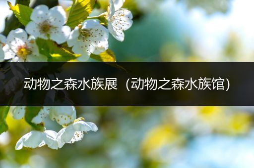 动物之森水族展（动物之森水族馆）