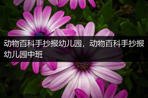 动物百科手抄报幼儿园，动物百科手抄报幼儿园中班