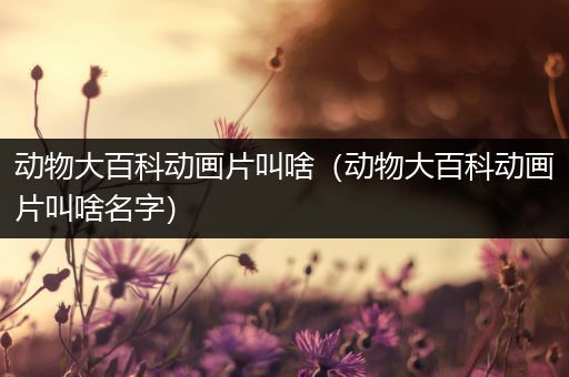 动物大百科动画片叫啥（动物大百科动画片叫啥名字）