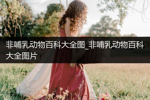 非哺乳动物百科大全图_非哺乳动物百科大全图片