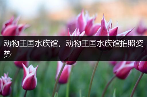 动物王国水族馆，动物王国水族馆拍照姿势