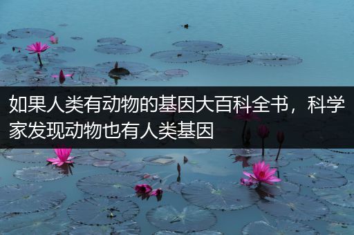 如果人类有动物的基因大百科全书，科学家发现动物也有人类基因