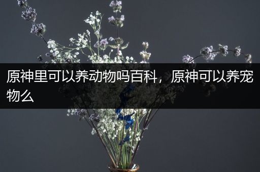 原神里可以养动物吗百科，原神可以养宠物么