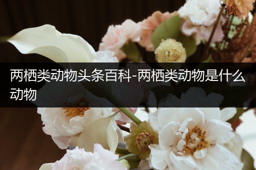 两栖类动物头条百科-两栖类动物是什么动物