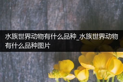 水族世界动物有什么品种_水族世界动物有什么品种图片