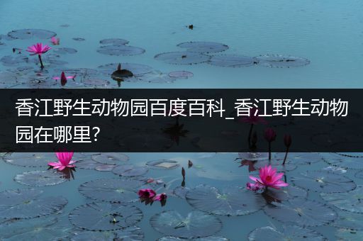 香江野生动物园百度百科_香江野生动物园在哪里?