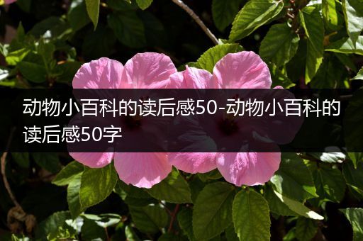 动物小百科的读后感50-动物小百科的读后感50字