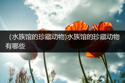（水族馆的珍藏动物)水族馆的珍藏动物有哪些