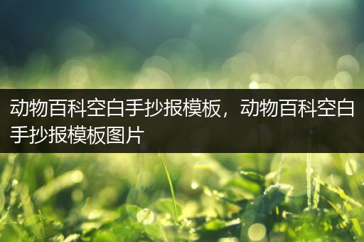 动物百科空白手抄报模板，动物百科空白手抄报模板图片