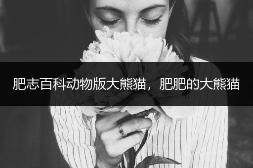 肥志百科动物版大熊猫，肥肥的大熊猫