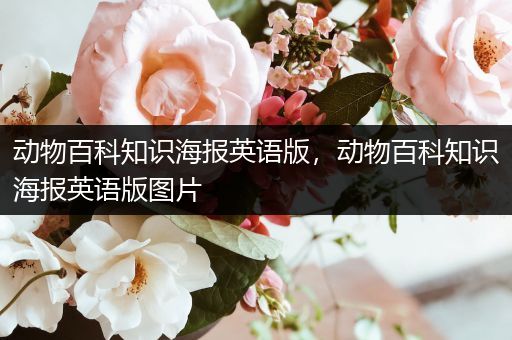 动物百科知识海报英语版，动物百科知识海报英语版图片