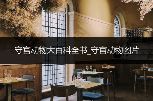 守宫动物大百科全书_守宫动物图片