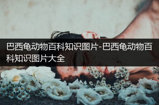 巴西龟动物百科知识图片-巴西龟动物百科知识图片大全