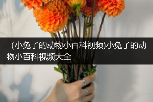 （小兔子的动物小百科视频)小兔子的动物小百科视频大全