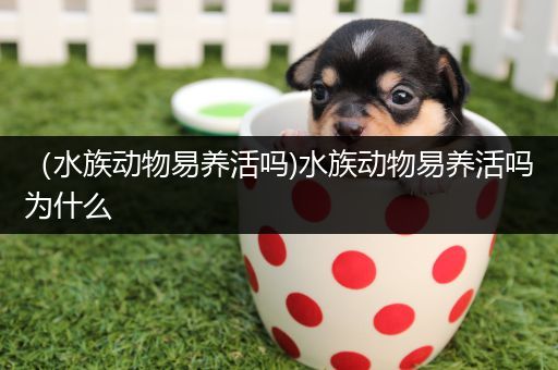（水族动物易养活吗)水族动物易养活吗为什么