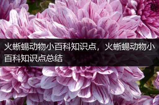 火蜥蜴动物小百科知识点，火蜥蜴动物小百科知识点总结