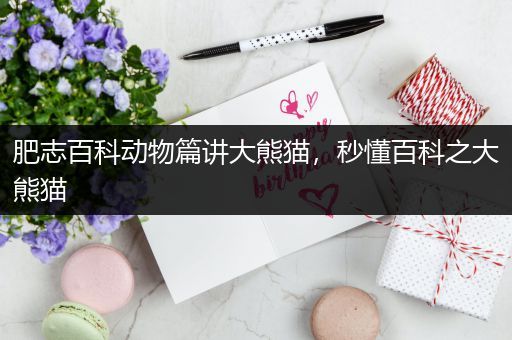 肥志百科动物篇讲大熊猫，秒懂百科之大熊猫