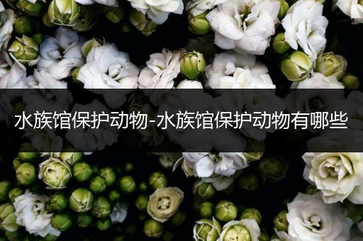 水族馆保护动物-水族馆保护动物有哪些