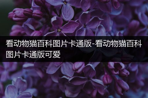 看动物猫百科图片卡通版-看动物猫百科图片卡通版可爱