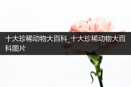 十大珍稀动物大百科_十大珍稀动物大百科图片
