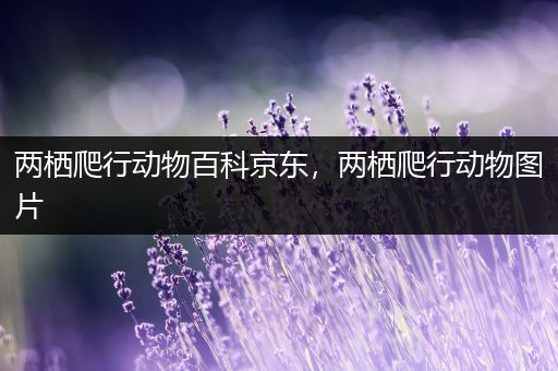 两栖爬行动物百科京东，两栖爬行动物图片