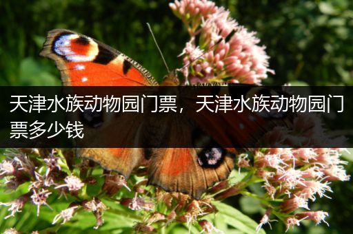 天津水族动物园门票，天津水族动物园门票多少钱