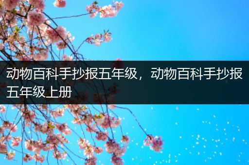 动物百科手抄报五年级，动物百科手抄报五年级上册